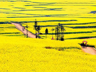 云南罗平航空屋车露营地