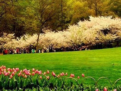 浙江荆门大清谷房车营地