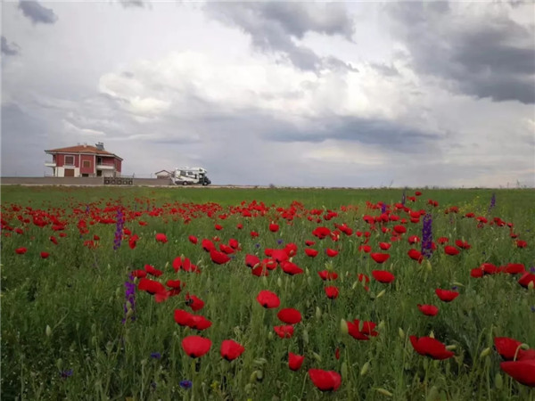 门徒娱乐-妄想照进现实,致力成就将来!