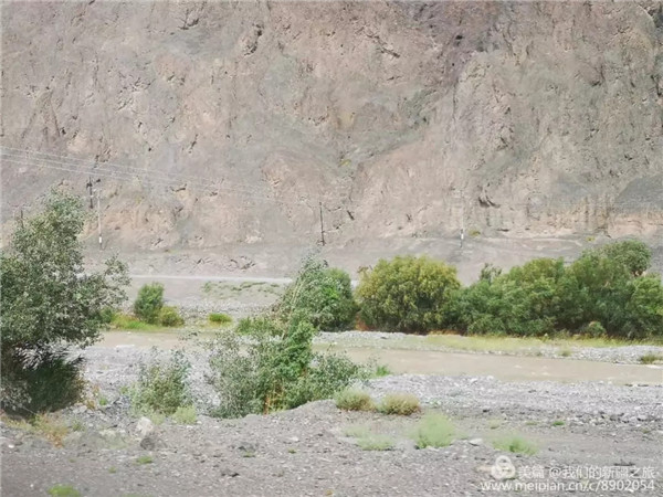 门徒娱乐-妄想照进现实,致力成就将来!