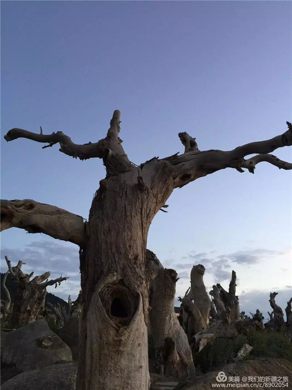 门徒娱乐-妄想照进现实,致力成就将来!