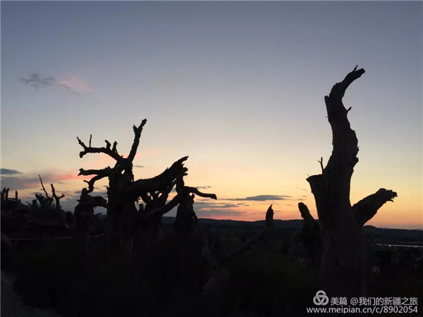 门徒娱乐-妄想照进现实,致力成就将来!