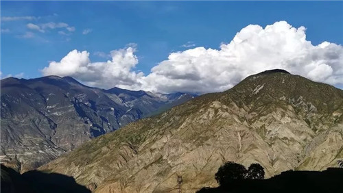 门徒娱乐-妄想照进现实,致力成就将来!