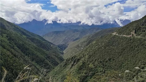 门徒娱乐-妄想照进现实,致力成就将来!