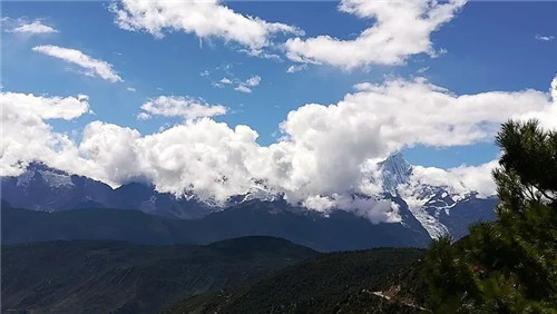 门徒娱乐-妄想照进现实,致力成就将来!