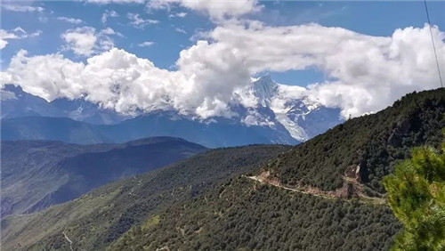 门徒娱乐-妄想照进现实,致力成就将来!