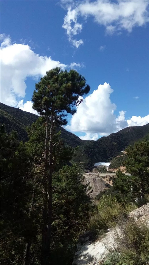 门徒娱乐-妄想照进现实,致力成就将来!