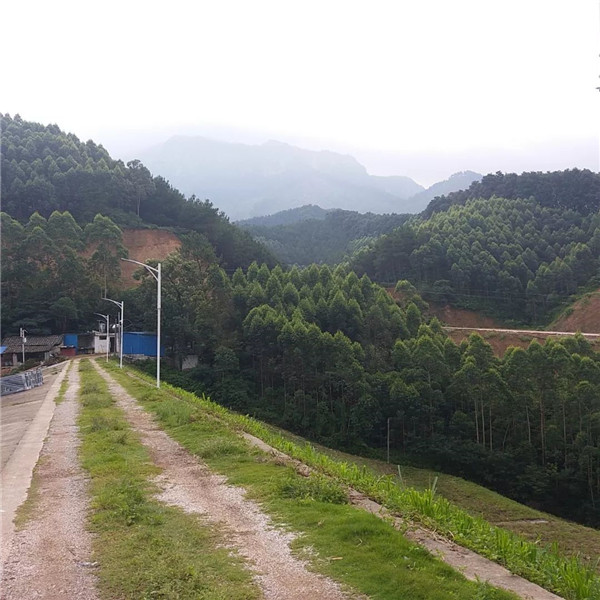 门徒娱乐-妄想照进现实,致力成就将来!