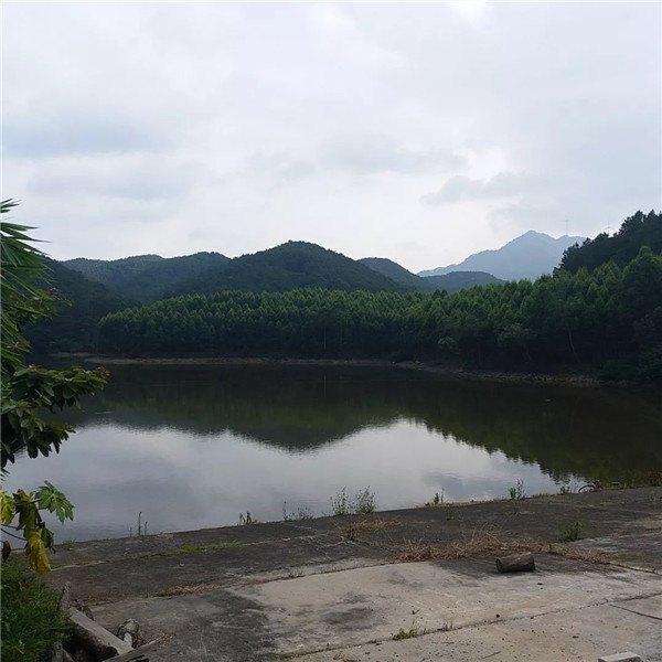 门徒娱乐-妄想照进现实,致力成就将来!